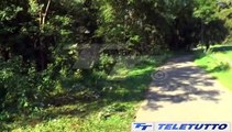 Video News - Omicidio Ziliani: il trio uccise per gratificarsi