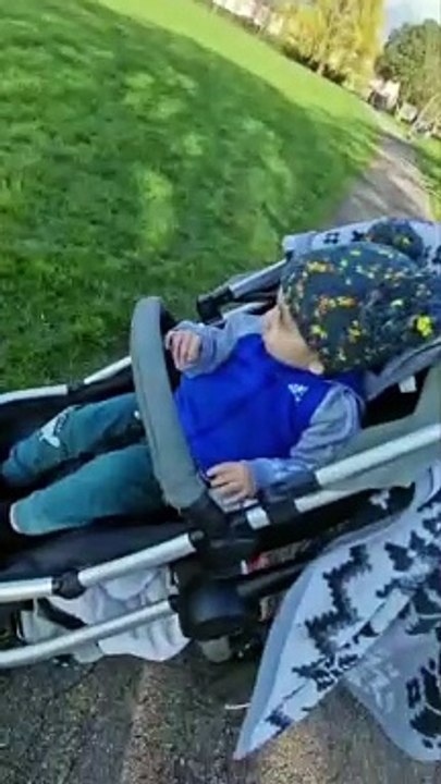 Video shows Princess Anne arrive at Aylesbury park by helicopter before being taken away by car on secret royal visit