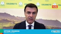 Prandini (Coldiretti): Agricoltura italiana ed europea le pi? sostenibili a livello globale