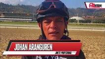 Hipismo: Johan Aranguren, Jinete profesional.