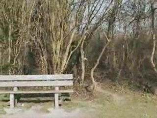 music clips and videos