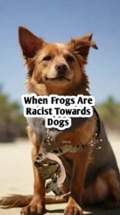 Racist Toads Against Dogs