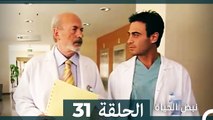 نبض الحياة - الحلقة 31 Nabad Alhaya (Arabic Dubbed)