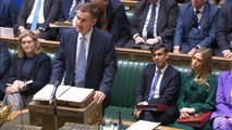 Spring Budget 2024: National insurance cut, help for low income families, and freezing of fuel and alcohol duty cuts - how will it affect you?