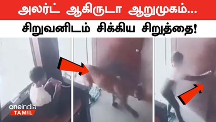 Leopard suddenly entered a house in Malegaon - வியக்கவைத்த சிறுவன் புத்திசாலித்தனம் | Oneindia Tamil