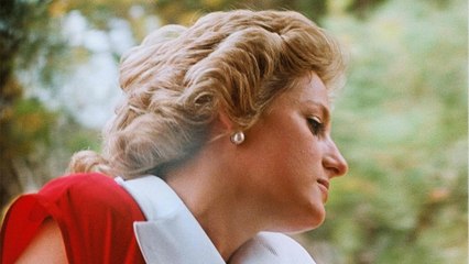 Charles Spencer shares Princess Diana’s ‘long-haired’ photo in a new Instagram post
