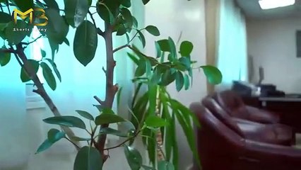 مسلسل ببساطة - الحلقة 5 - تطور