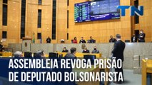 Assembleia Legislativa revoga prisão de deputado bolsonarista no ES