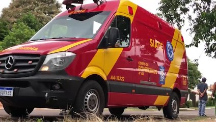 Jovem, de 29 anos, sofre queda de árvore e precisa ser socorrido