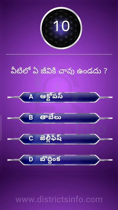 Interesting Questions Telugu