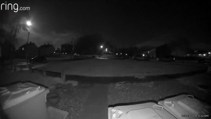 Giant Rat Caught on Doorbell camera