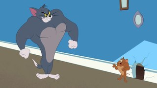 Tom and Jerry | Gym Cat