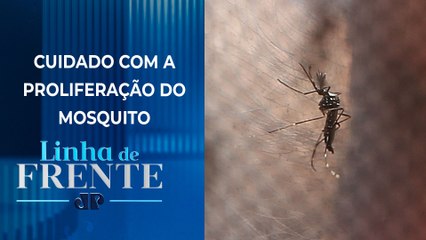 Dengue atinge estado de epidemia em São Paulo | LINHA DE FRENTE