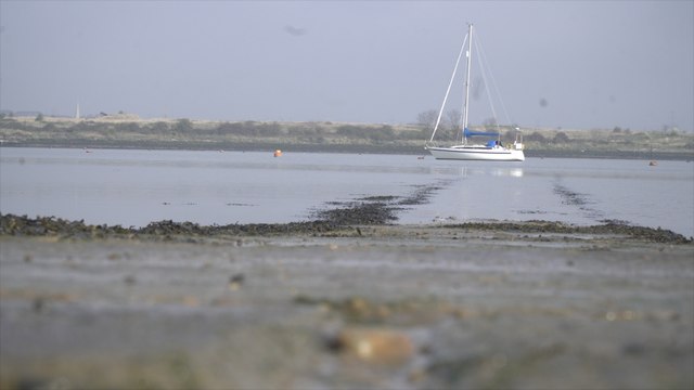 Unsafe traces of e-coli reported to have been found in River Medway