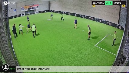 But de Noel Elise - DELPHARM