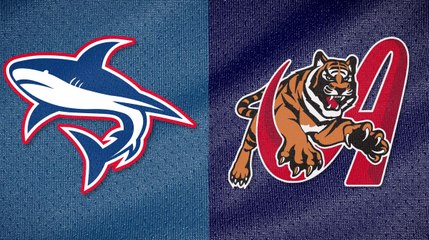 TIBURONES DE LA GUAIRA vs TIGRES DE ARAGUA 16/01/2024