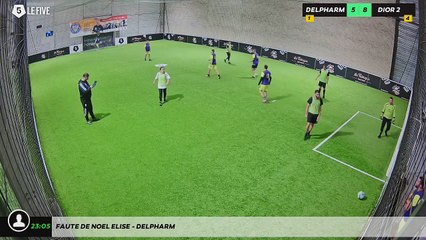 Faute de Noel Elise - DELPHARM