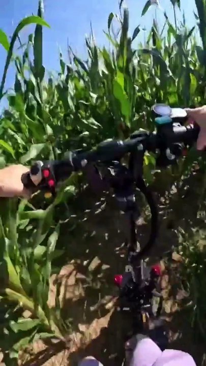 On prend la fuite dans un champ, car la police nous poursuit ￼#police #arrestation #controle ￼