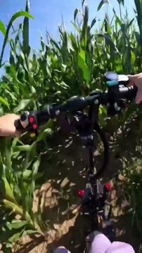 On prend la fuite dans un champ, car la police nous poursuit ￼#police #arrestation #controle ￼