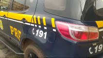 PRF apreende 90 kg de maconha e unidades de Ecstasy na BR-277