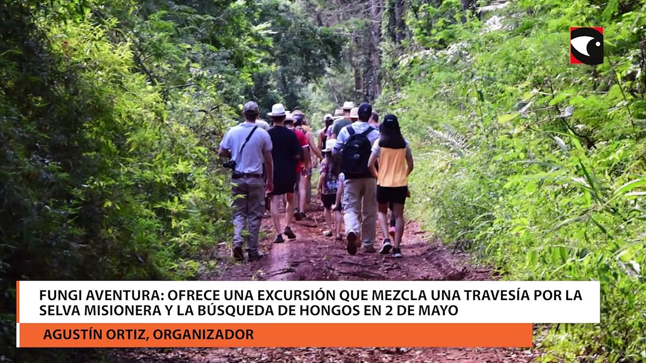 Fungi Aventura ofrece una excursión que mezcla una travesía por la selva misionera y la búsqueda de hongos en 2 de Mayo