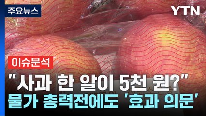 [굿모닝경제] "사과 한 알이 5천 원?"...물가 총력전에도 '효과 의문' / YTN