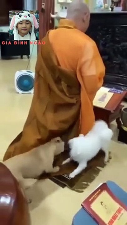 Hai đứa này để yên thầy tụng coi