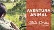 Patty Leone encontra uma leoa no meio da savana africana | MALA PRONTA