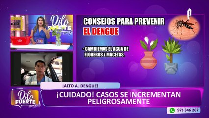 Dr. Marco Almeri brinda consejos para evitar propagación del dengue: “El agua en floreros son un caldo de cultivo”