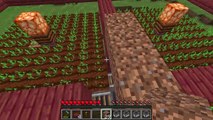 Minecraft Villager Auto Crop Farm Tutorial -  Potato Wheat Carrot Beetroot