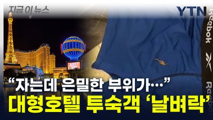 '소송의 나라' 美서...5성급 호텔 투숙객 '날벼락' [지금이뉴스] / YTN