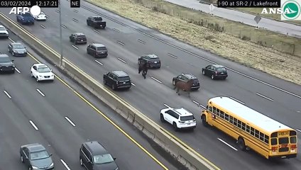 Usa, due cavalli della polizia corrono "contromano" in autostrada