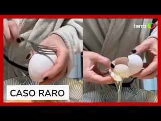 Galinha bota 'ovo gigante' com outro inteiro dentro, e cena intriga internautas