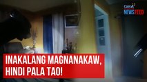 Inakalang magnanakaw, hindi pala tao! | GMA Integrated Newsfeed
