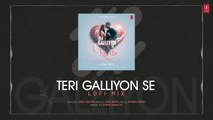 Teri Galliyon Se (Lofi Mix) (Audio) - Gurmeet Choudhary, Arushi - Jubin Nautiyal - Dj Sunny Singh UK | Raowisezone