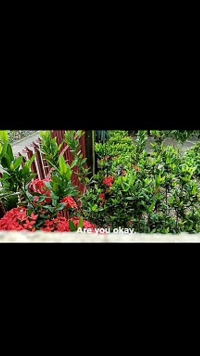 are you ok?