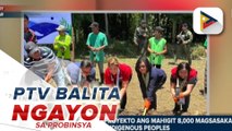 Mahigit 8K residente sa Cordillera, benepisyaryo ng 'Project Lawa', 'Binhi' ng DSWD
