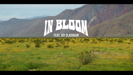 Jon Foreman - In Bloom (Lyric Video)