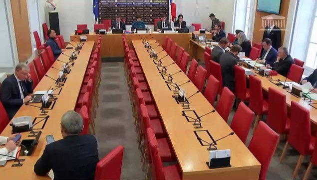 Commission des lois : Projet de loi organique, relative à l’application du cinquième alinéa de l’article 13 de la Constitution - Mercredi 6 mars 2024