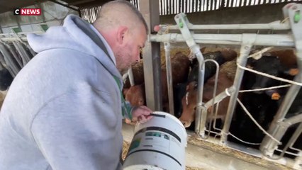 Crise agricole : un couple d'éleveurs déçu par le gouvernement