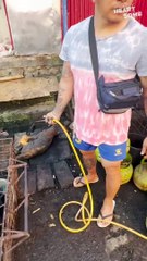 Hero Saves Dogs from Dog Meat Market!  || Heartsome