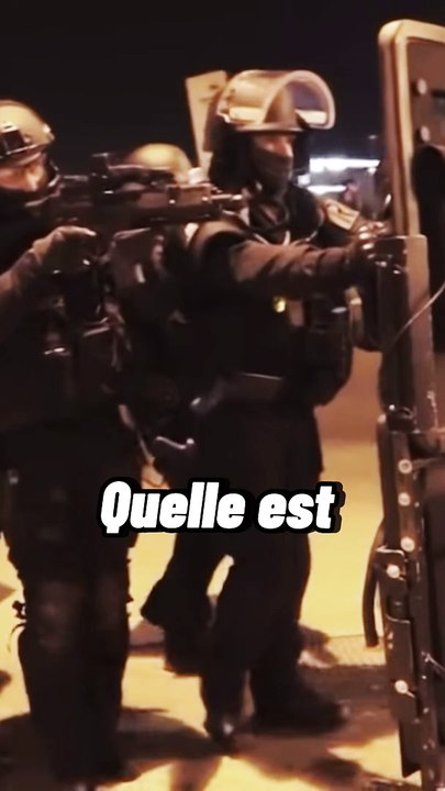 Qu'elle est la différence entre le RAID, la BRI et le GIGN ?