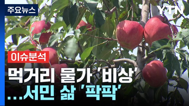 치솟는 과일값에 먹거리 물가 '비상'...서민 부담 가중 / YTN