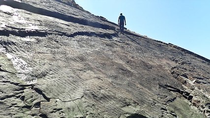 ‘World’s oldest fossil forest’ discovered on south coast of England