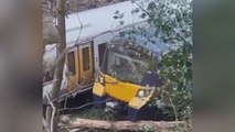 Commuters left stranded for three hours after train hit tree