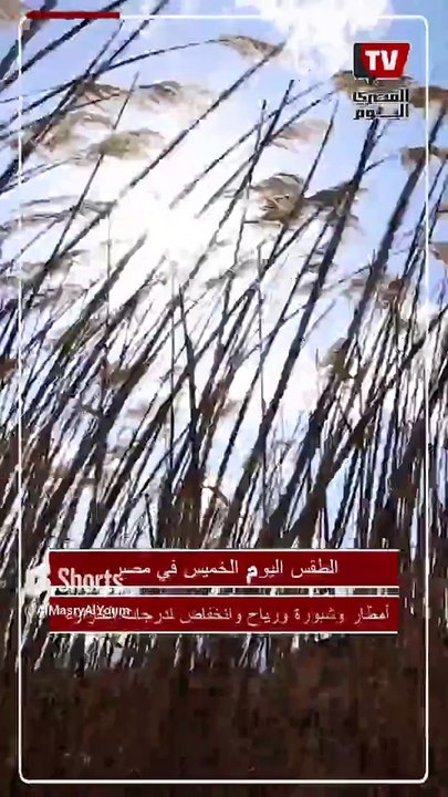 حالة الطقس اليوم.. أمطار وشبورة ورياح وانخفاض لـ درجات الحرارة ليلًا