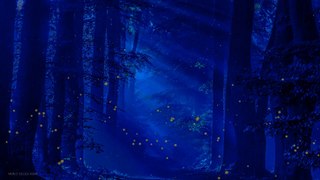 Spectacular circling of fireflies, in the moonshine in the enchanted wood