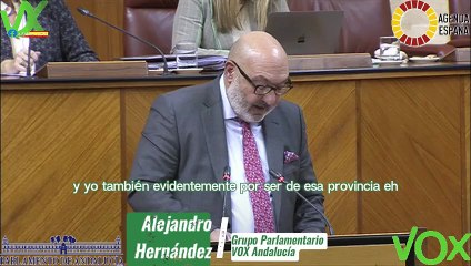 Alejandro Hernández Valdés. Intervención en Comparecencia de Consejero de Universidades. Pleno de 07.03.2024