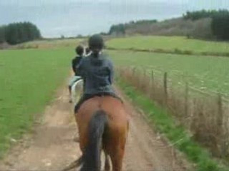 Le poisson d'avril des cailloux  chute!