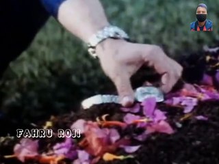 PANTHER - BARRY PRIMA